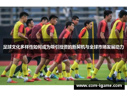 足球文化多样性如何成为吸引投资的新契机与全球市场发展动力