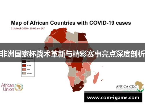 非洲国家杯战术革新与精彩赛事亮点深度剖析